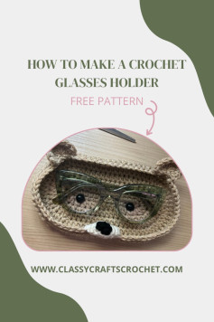 Create Your Own Crochet Glasses Holder with This Free Pattern