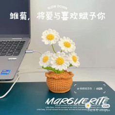 Crochet Pattern: Charming Daisy Flowers in a Pot for Home Decor