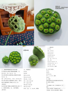 Crochet Pattern for Realistic Lotus Seed Pod Design