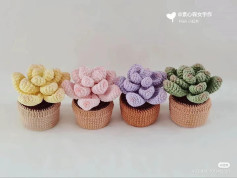 Crochet Succulent Plants in Colorful Pots
