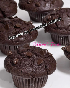 Decadent Double Chocolate Delight Muffins