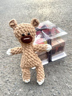 Hướng dẫn móc len thú bông gấu đáng yêu cho người mới bắt đầu