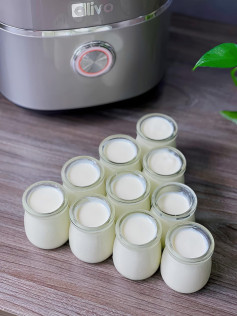 Sữa Chua Mịn Màng Từ Sữa Tươi Đặc Biệt