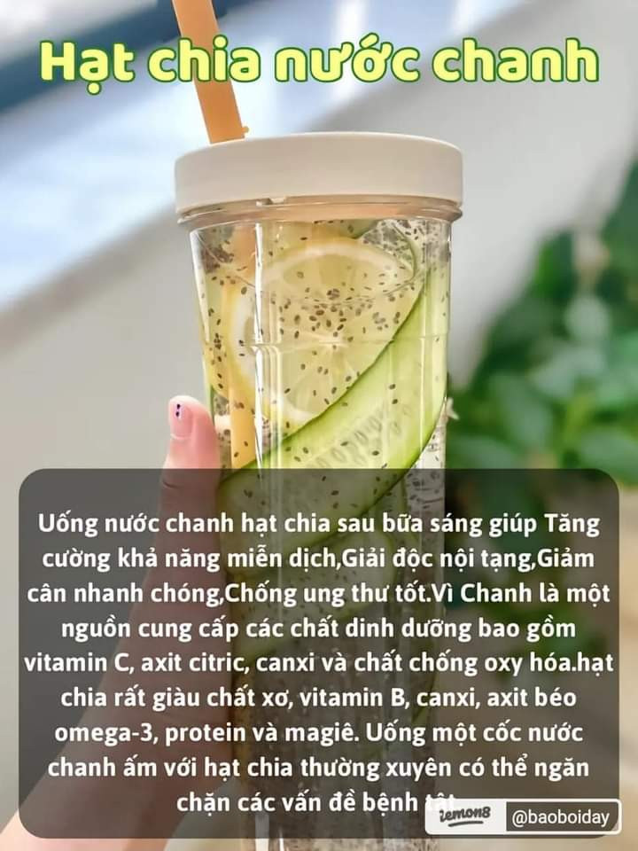 3 thức uống khoẻ mạnh đón ngày mới: Hạt chia nước chanh, Trà xanh và Trà gừng táo đỏ
