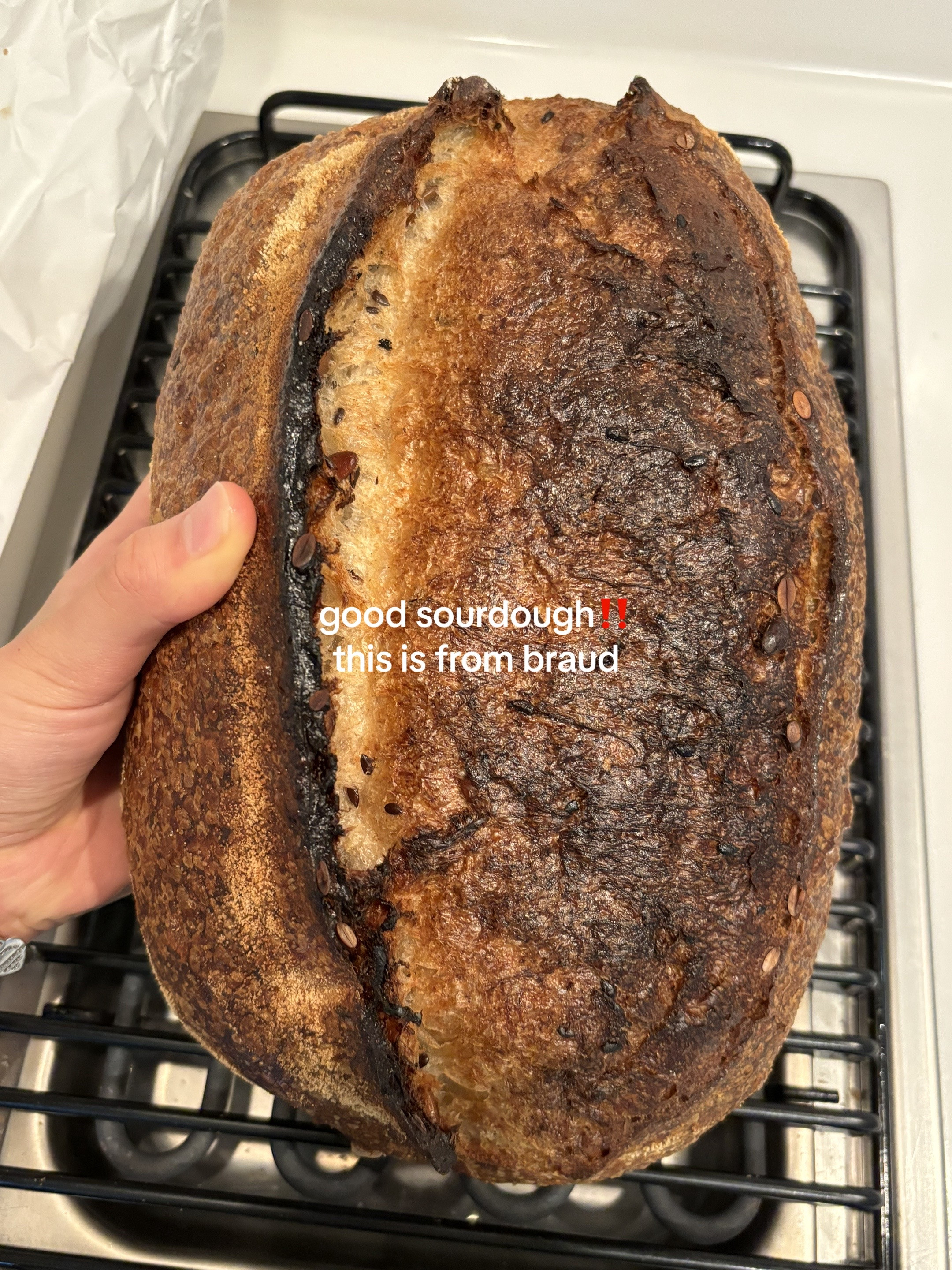 Basic Avocado Toast and Folded Eggs Recipe on Sourdough Bread