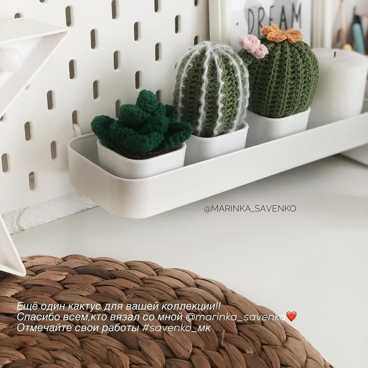 Бесплатный мастер-класс по вязанию крючком кактуса с пошаговыми схемами и описанием на русском языке