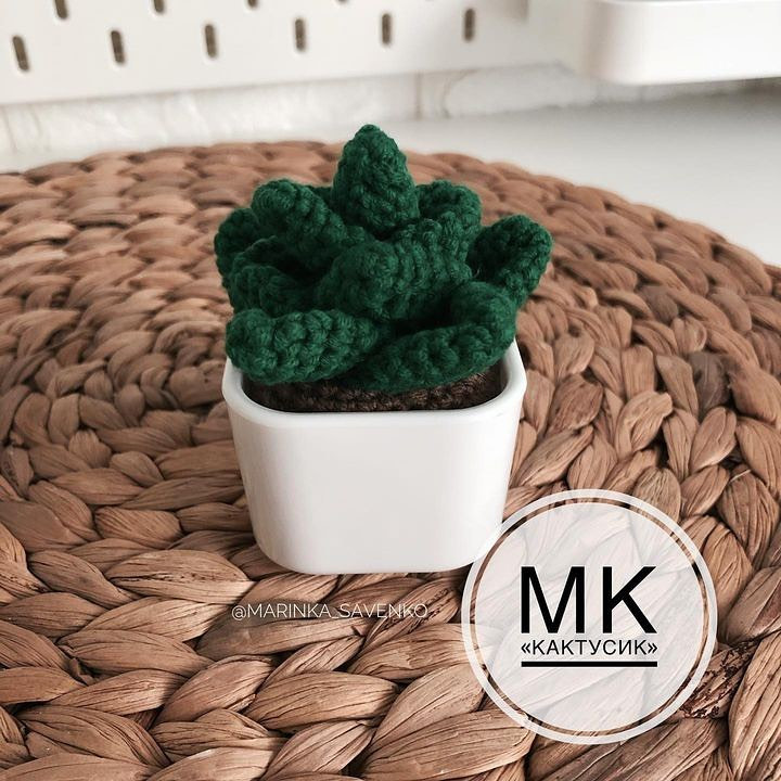 Бесплатный мастер-класс по вязанию крючком кактуса с пошаговыми схемами и описанием на русском языке