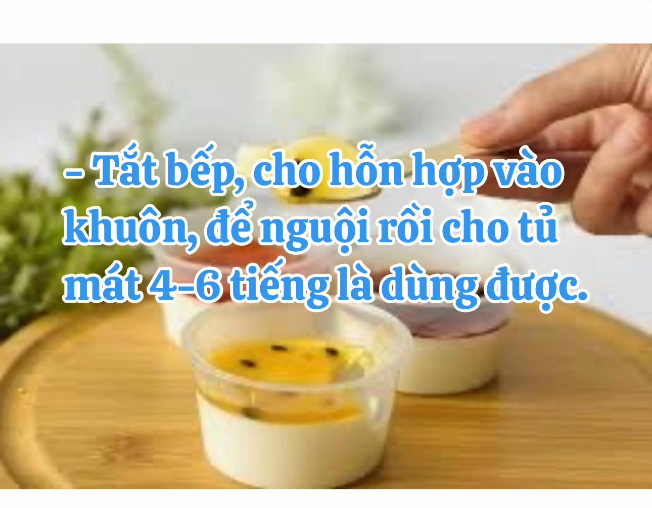 Cách làm Panna Cotta cực dễ ai cũng làm được với sốt trái cây