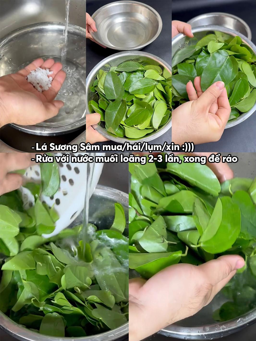 Cách làm sương sâm thơm ngon, dẻo dai không cần vò từ lá tươi