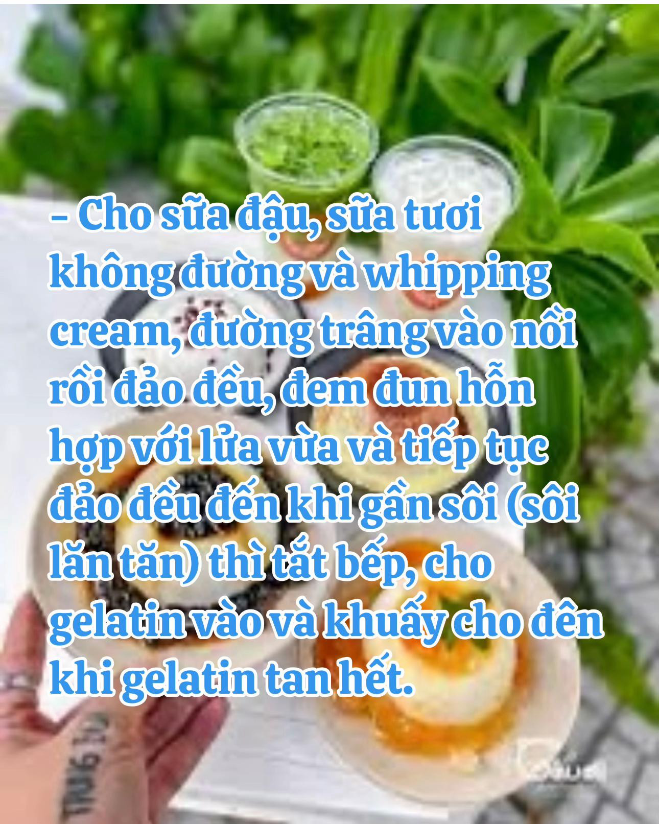 Cách làm Tàu Hũ Singapore bằng Gelatin cực kỳ đơn giản tại nhà với trân châu đường đen