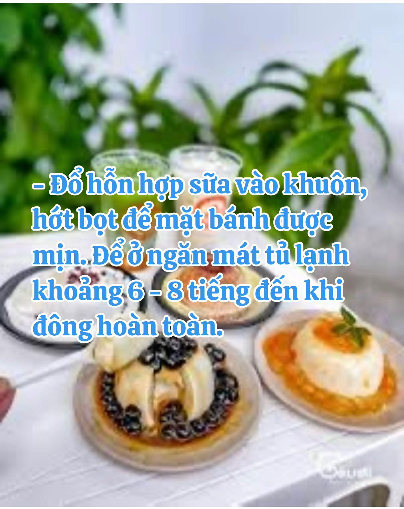 Cách làm Tàu Hũ Singapore bằng Gelatin cực kỳ đơn giản tại nhà với trân châu đường đen