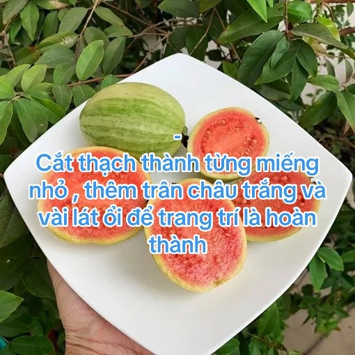 Cách làm thạch ổi hồng trân châu trắng siêu ngon, món tráng miệng giải khát mùa hè
