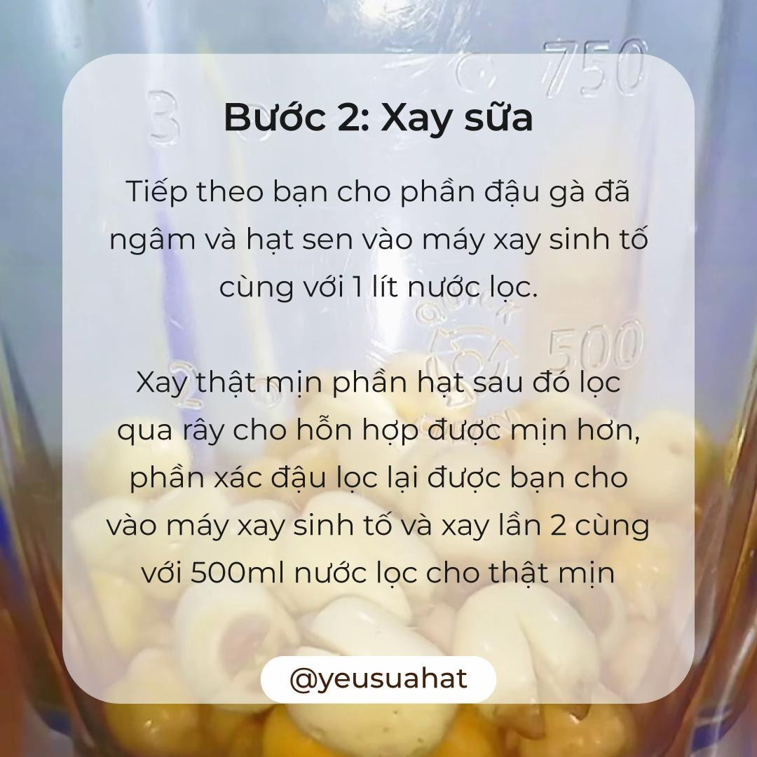 Cách nấu sữa đậu gà hạt sen thơm ngon, bổ dưỡng với lá dứa