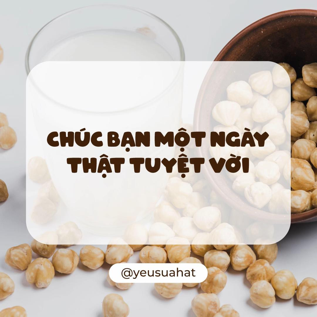 Cách nấu sữa đậu gà hạt sen thơm ngon, bổ dưỡng với lá dứa