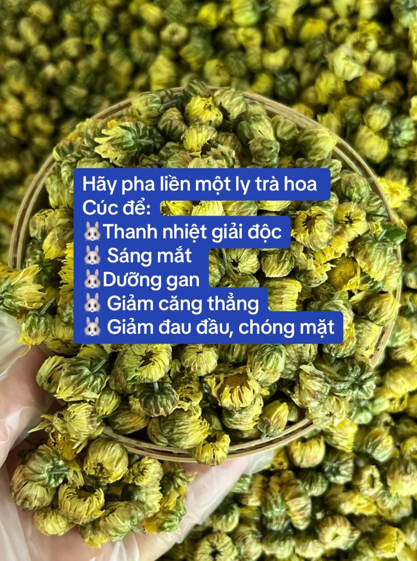 Cách pha trà hoa cúc thanh nhiệt giải độc, dưỡng gan và giảm căng thẳng
