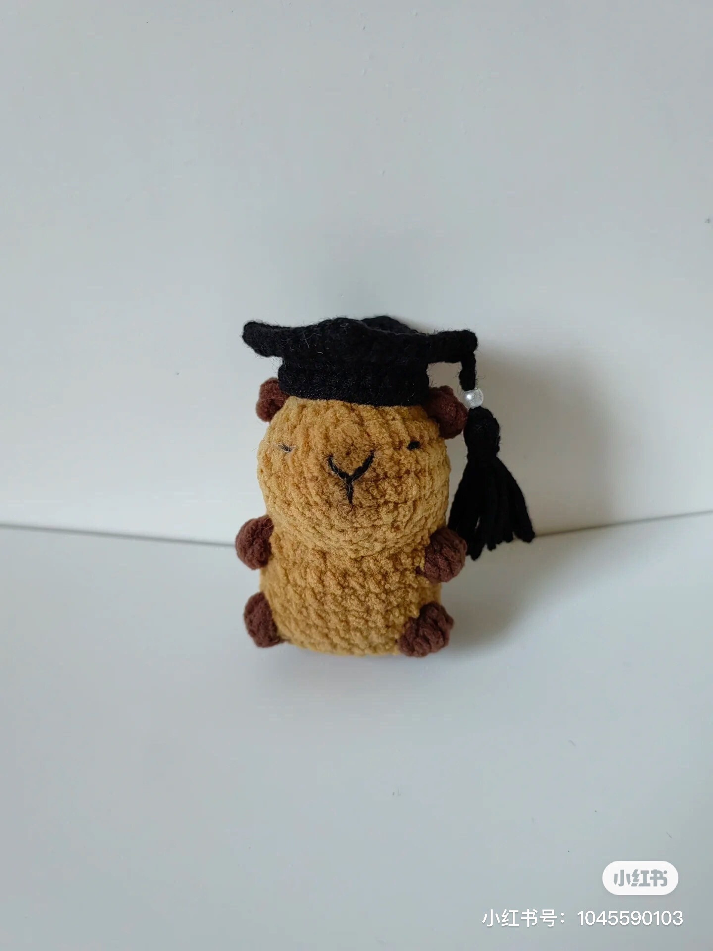 Capybara Graduation Crochet Pattern Chart