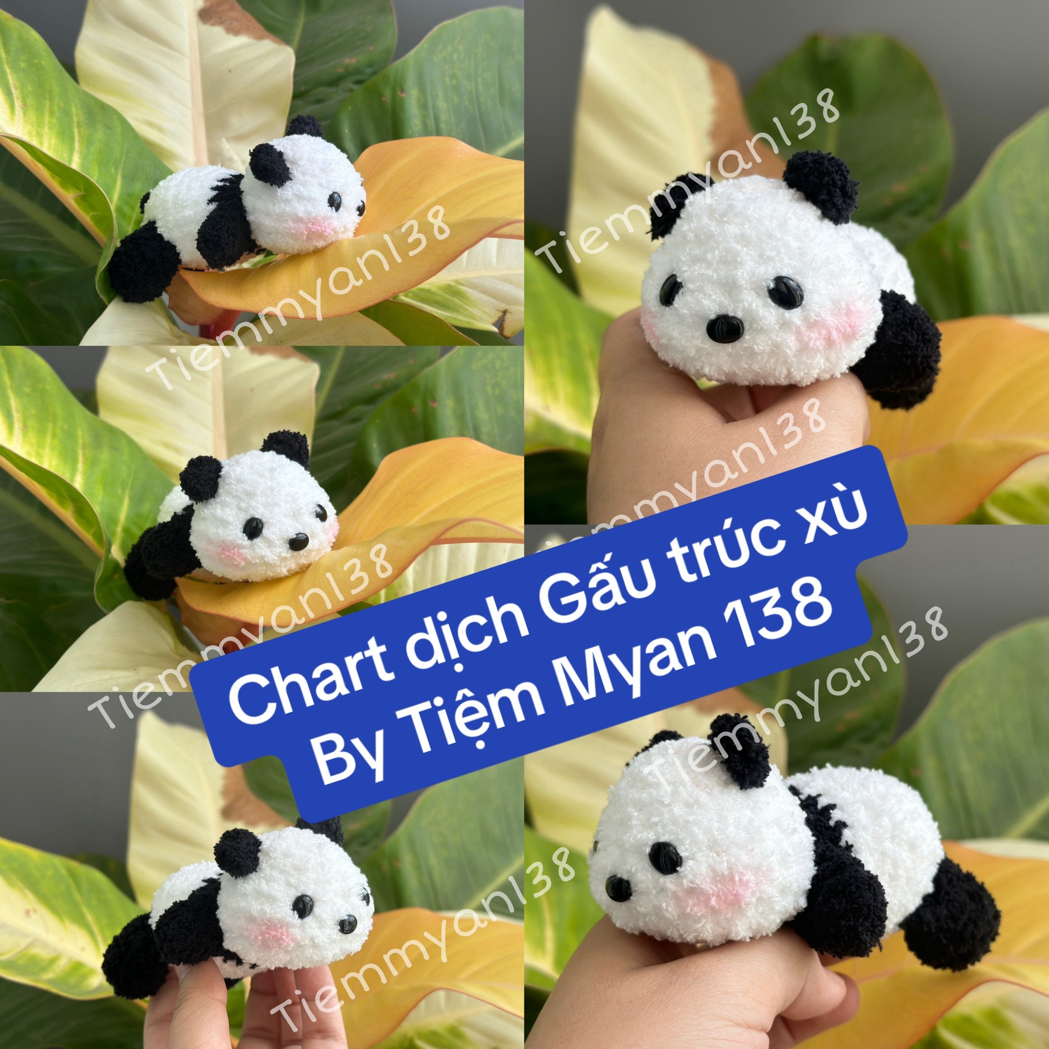 Chart dịch Gấu trúc Panda - Hướng dẫn móc len chi tiết