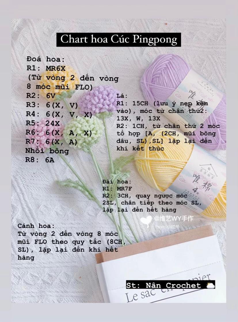 Chart hoa Cúc Pingpong màu pastel: hướng dẫn chi tiết cách móc từng bước
