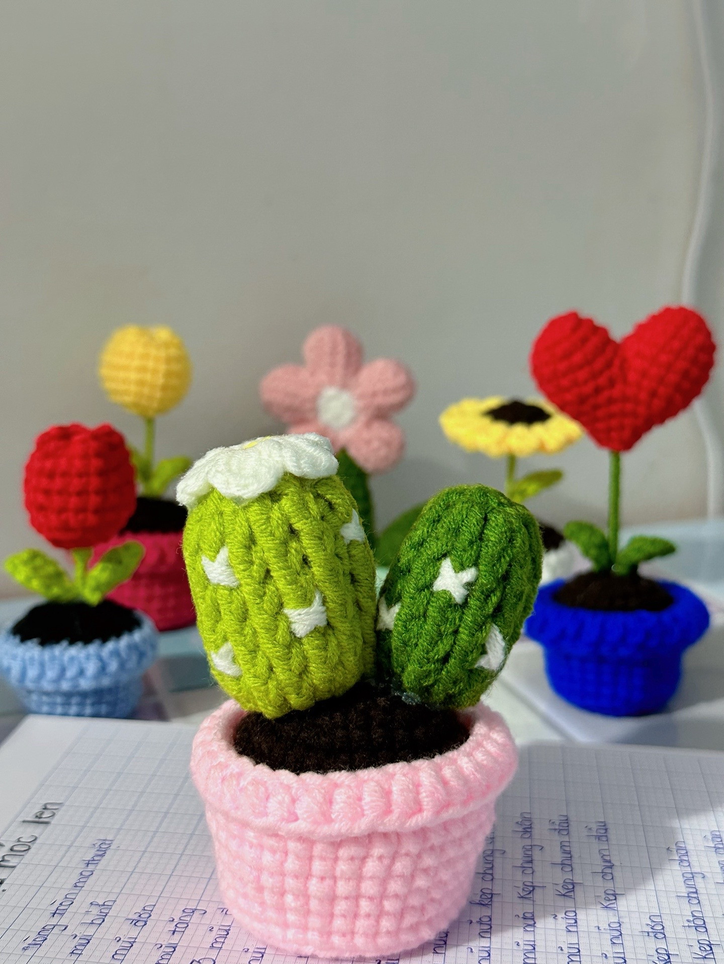 Chart hướng dẫn móc len chậu xương rồng và các chi tiết