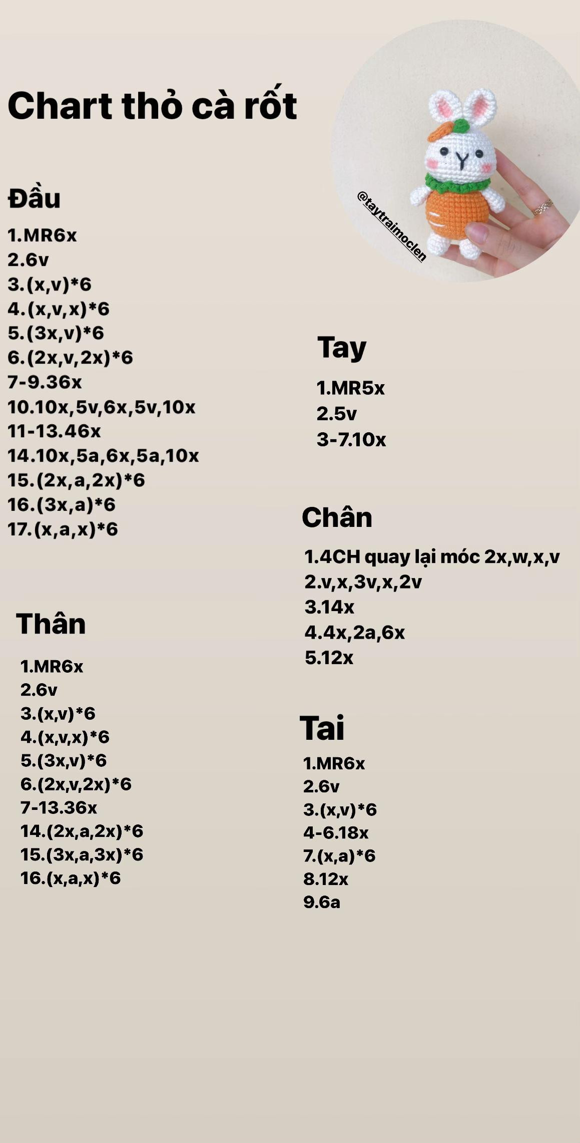 Chart hướng dẫn móc len thỏ cà rốt dễ thương