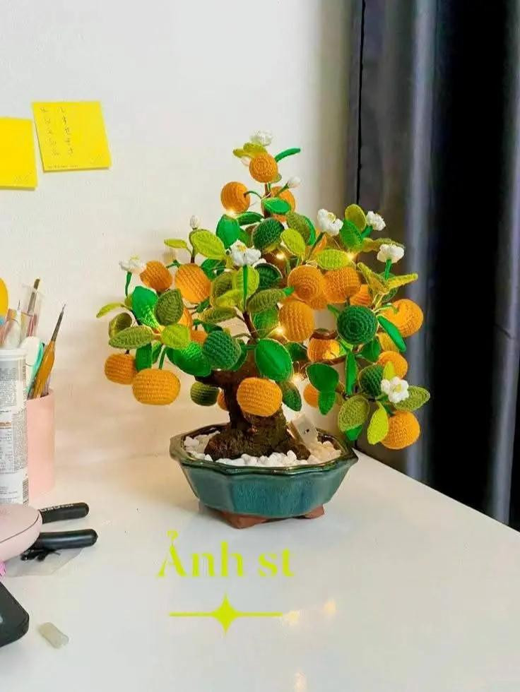 Chart móc cây cam quýt: Quả, lá và hoa