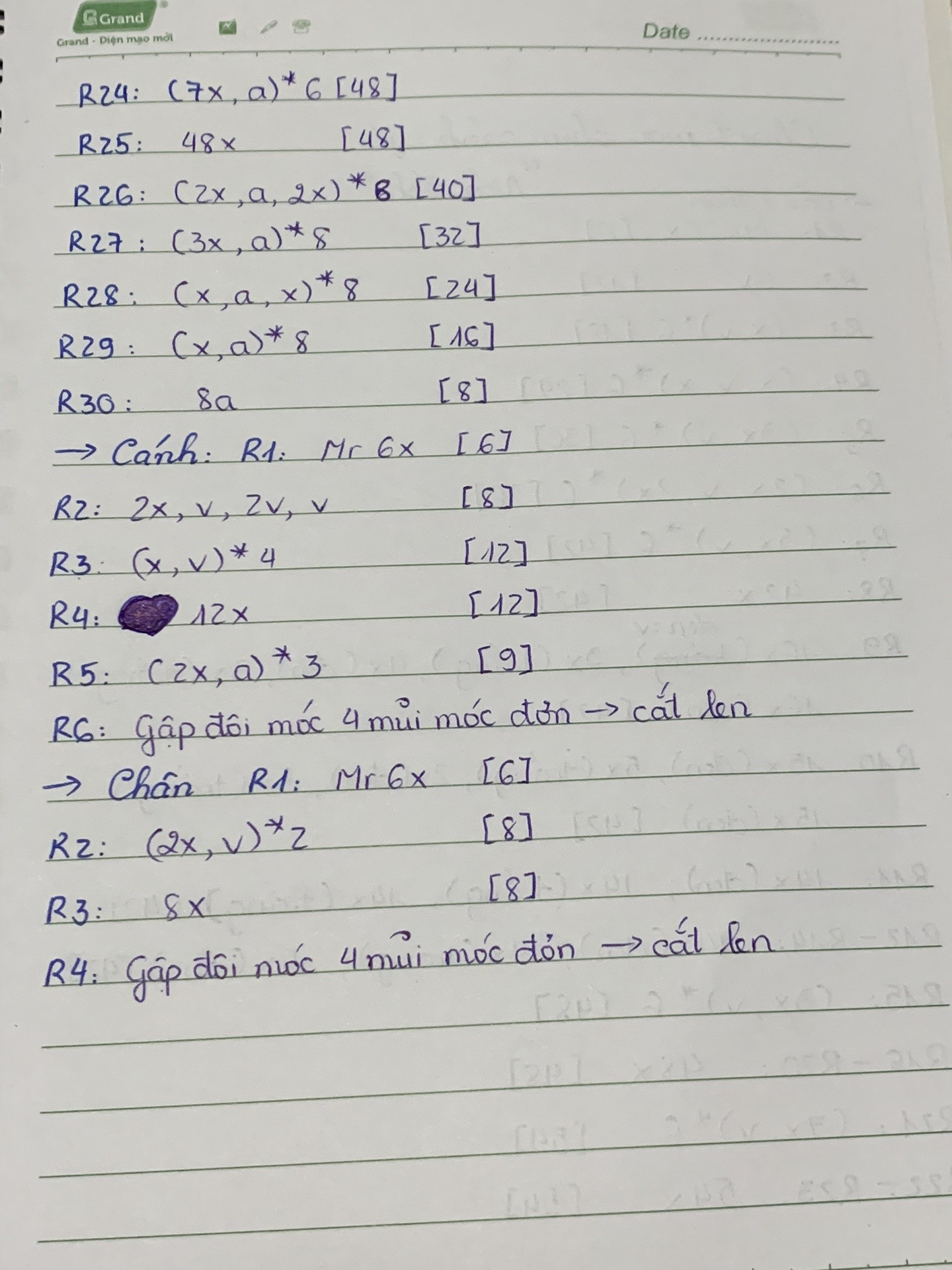 Chart móc chim cánh cụt đội nón ếch