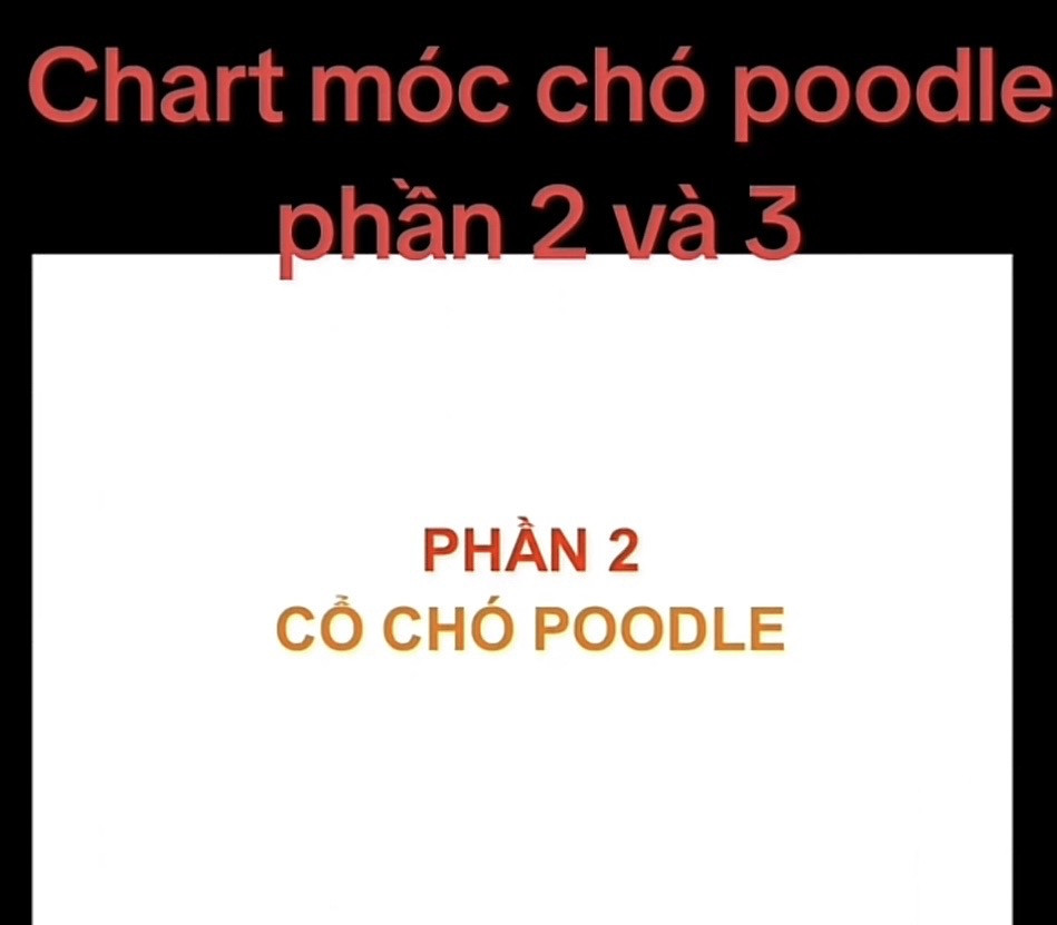Chart móc chó poodle màu kem phần 1 - Hướng dẫn chi tiết từng hàng