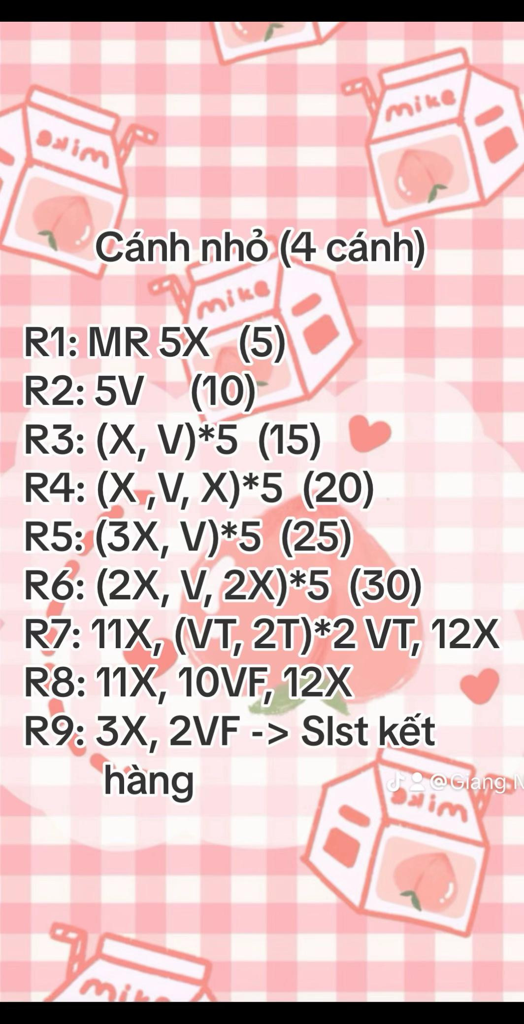 Chart móc hoa hồng ghép cánh trắng tím