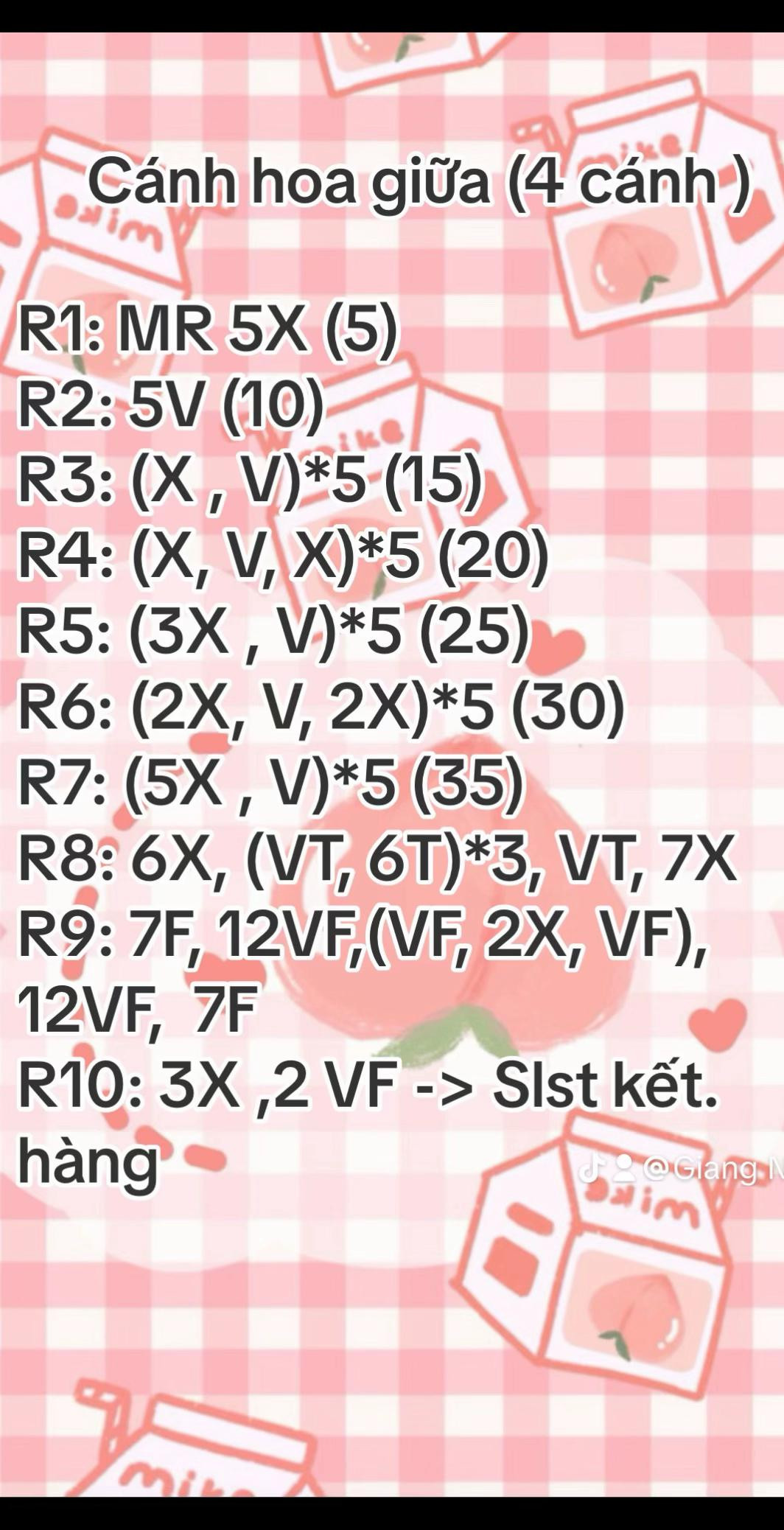 Chart móc hoa hồng ghép cánh trắng tím
