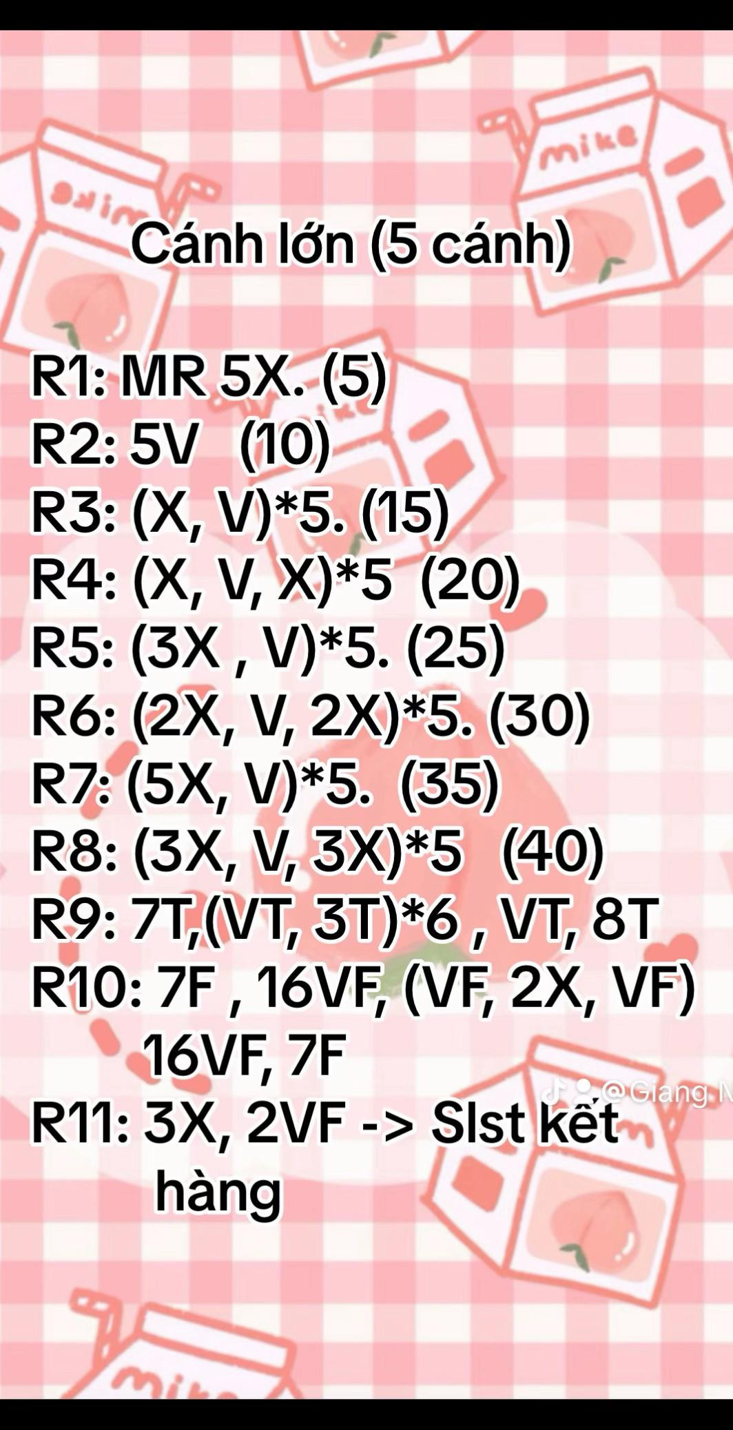 Chart móc hoa hồng ghép cánh trắng tím