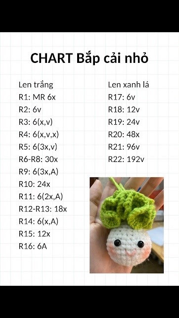 Chart móc len bắp cải nhỏ - Hướng dẫn chi tiết từng hàng