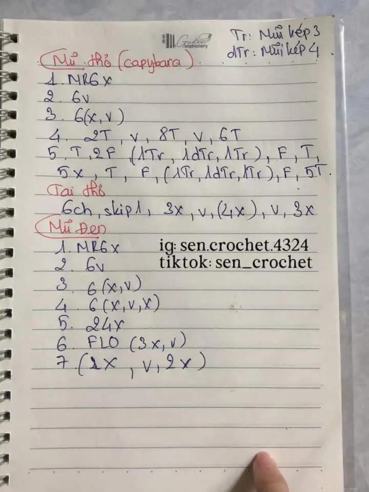 Chart móc len Capybara chảy mũi và Heo bơi mặc áo phao màu hồng dễ thương