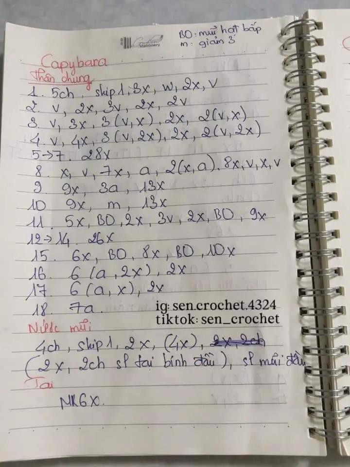 Chart móc len Capybara chảy mũi và Heo bơi mặc áo phao màu hồng dễ thương