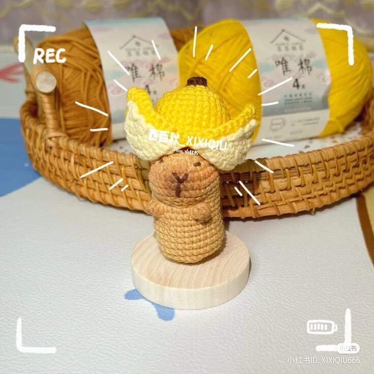 Chart Móc Len Capybara Đội Quýt Dễ Thương