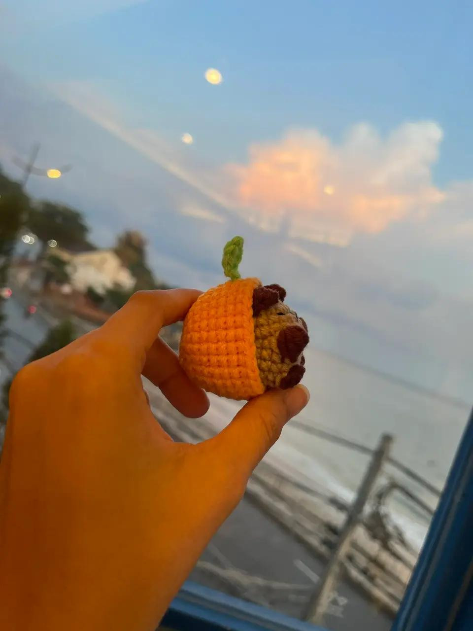 Chart móc len Capybara mặc trang phục quả cam dễ thương