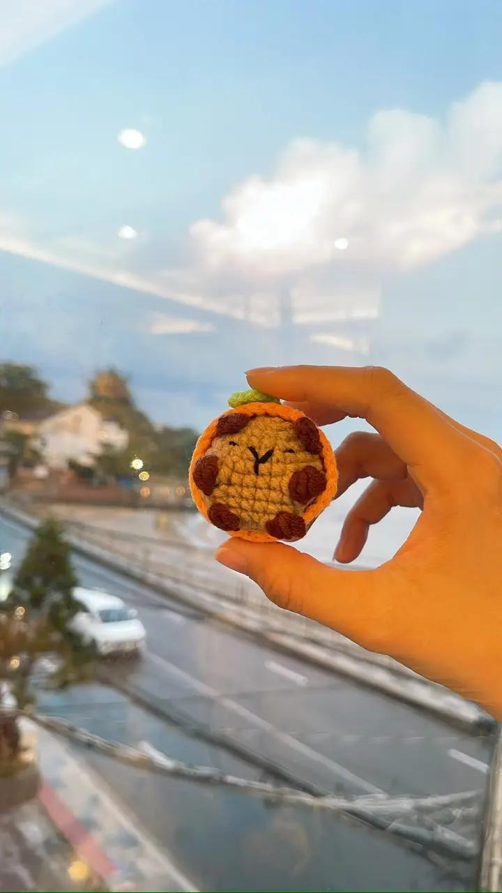 Chart móc len Capybara mặc trang phục quả cam dễ thương