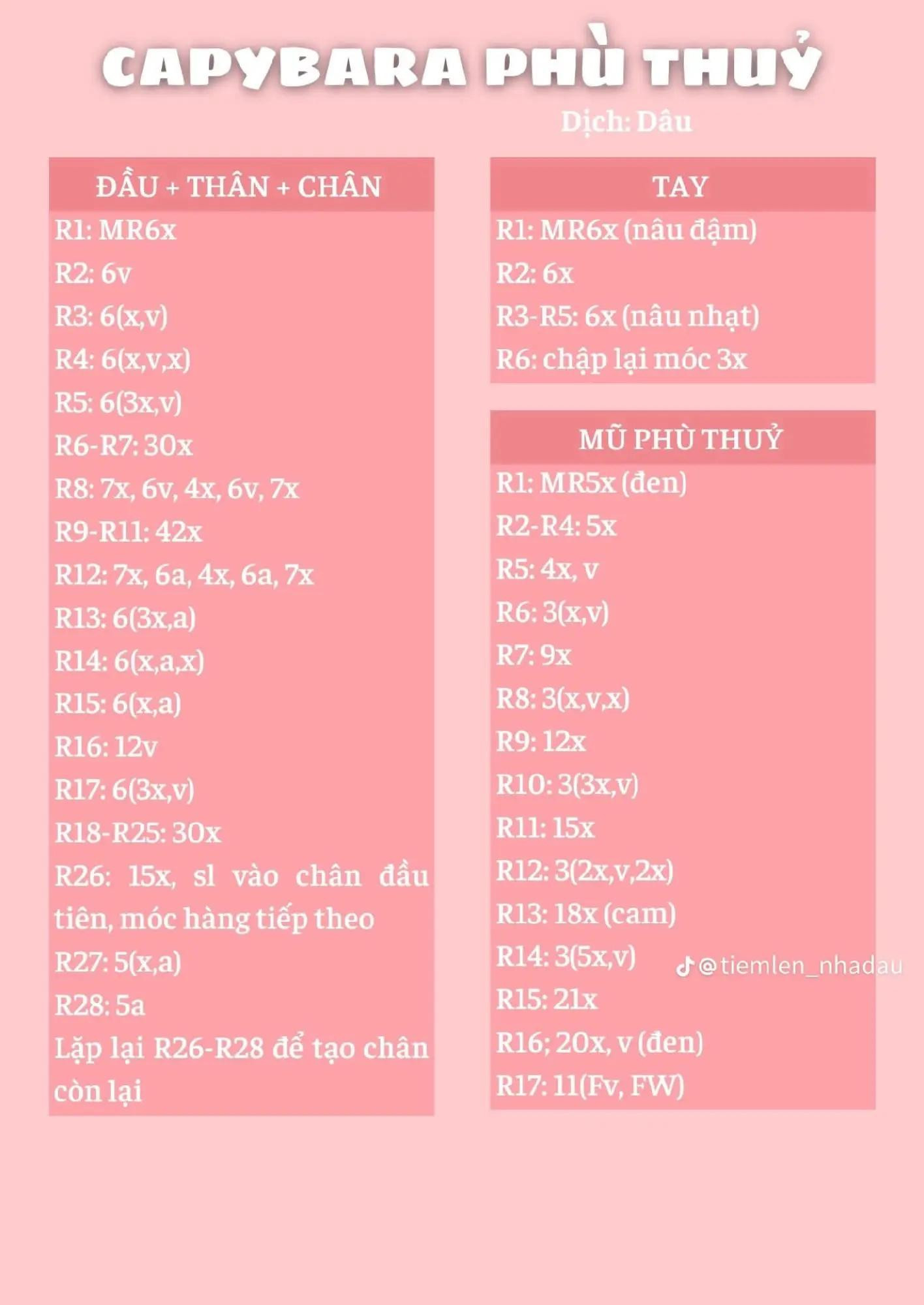 Chart Móc Len Capybara Phù Thuỷ Halloween