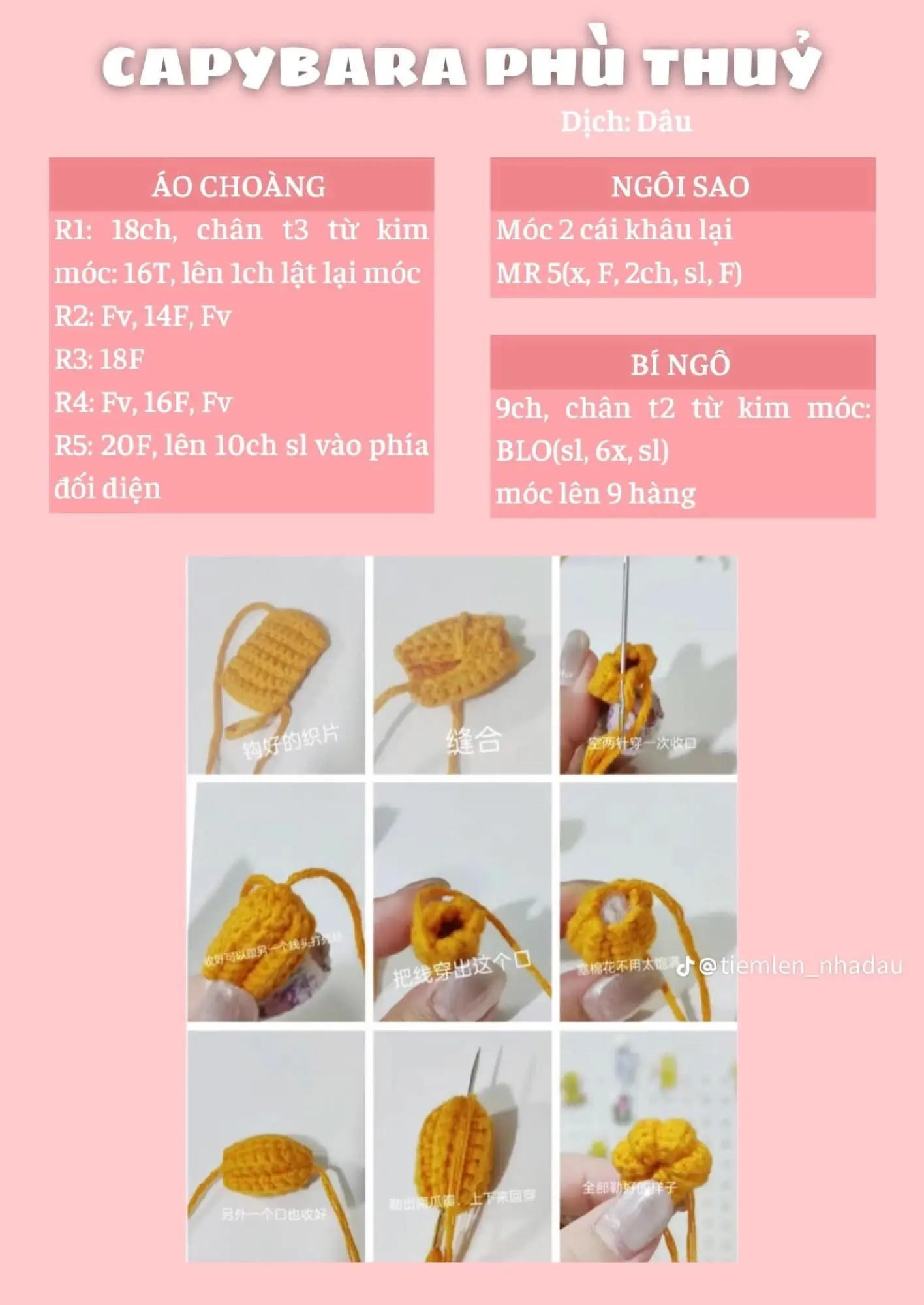 Chart Móc Len Capybara Phù Thuỷ Halloween