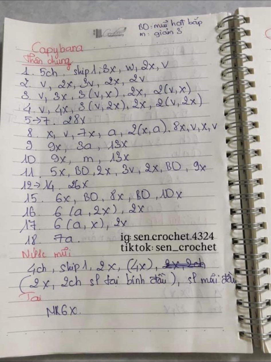 Chart móc len Capybara thân và mũi tay viết