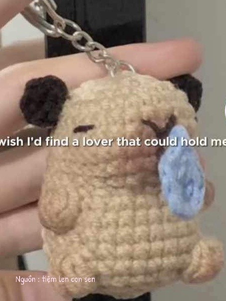 Chart móc len Capybara thân và mũi tay viết