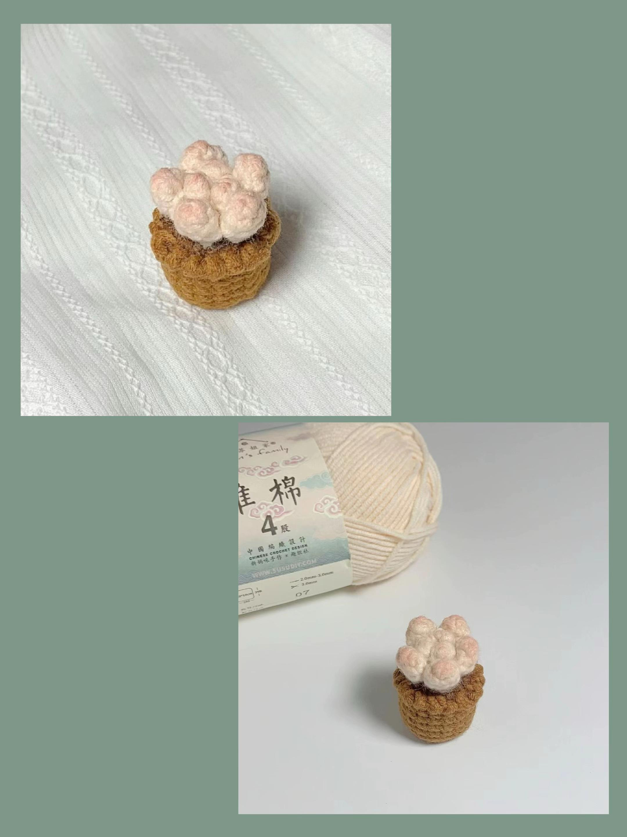 Chart Móc Len Chậu Sen Đá Mini - Hướng Dẫn Chi Tiết Từng Hàng