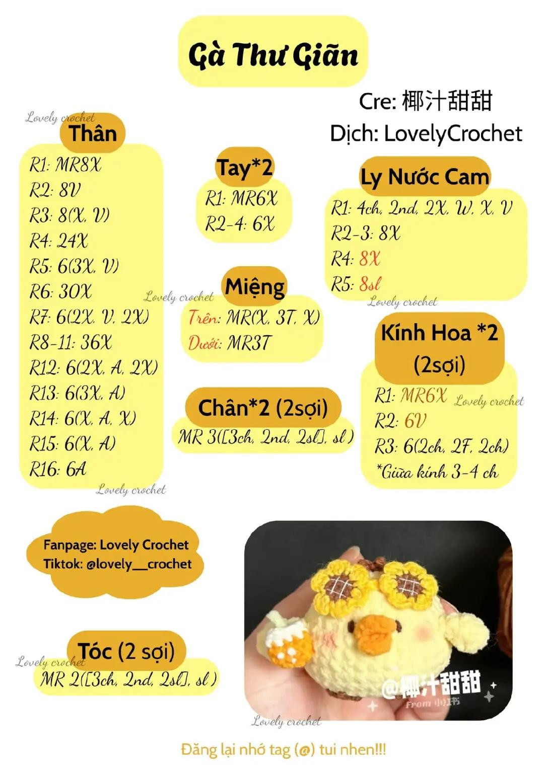 Chart Móc Len Gà Thư Giãn Mặc Kính Hoa Hướng Dương