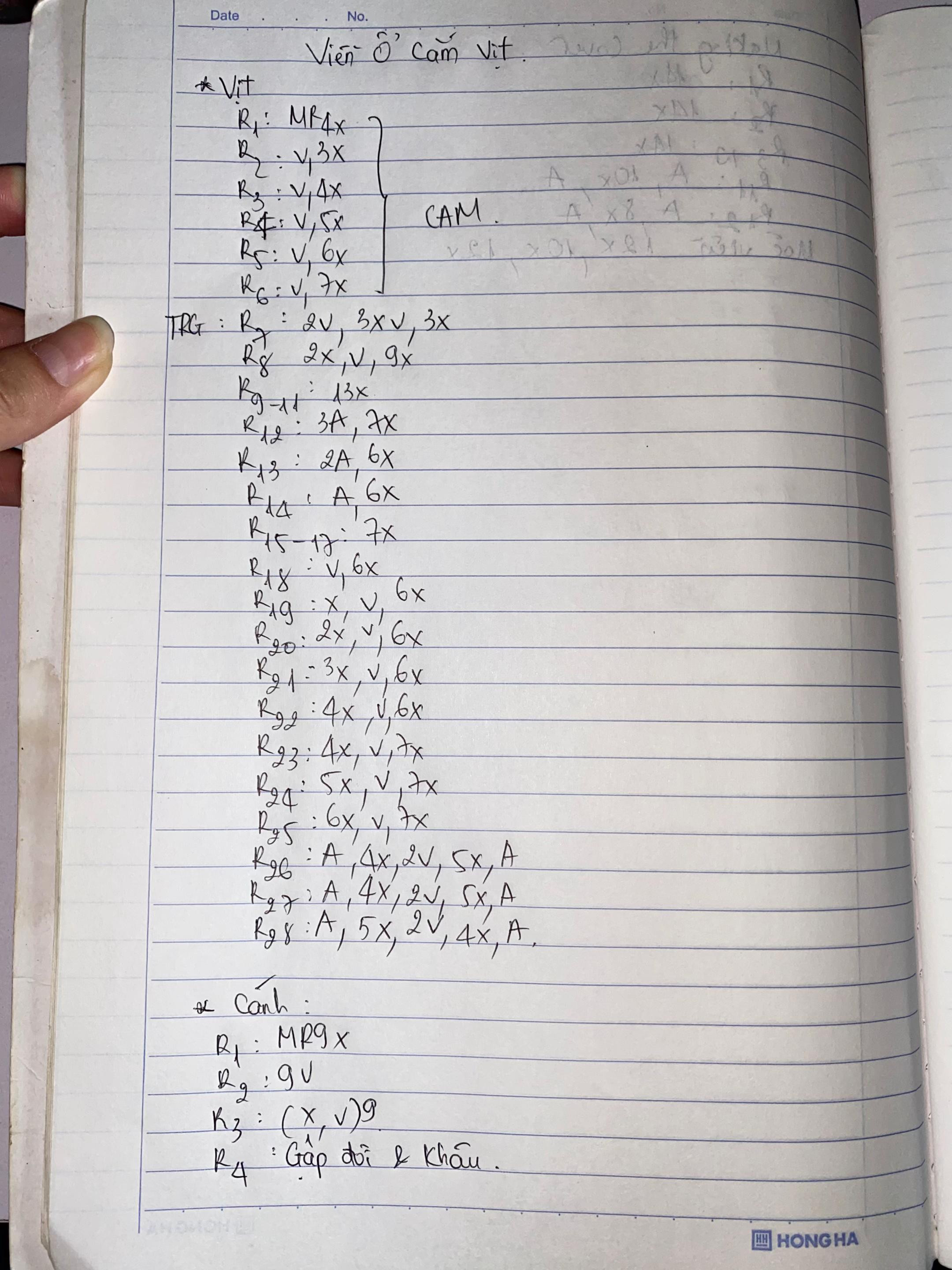 Chart móc len khung công tắc hình con vịt bay màu xanh