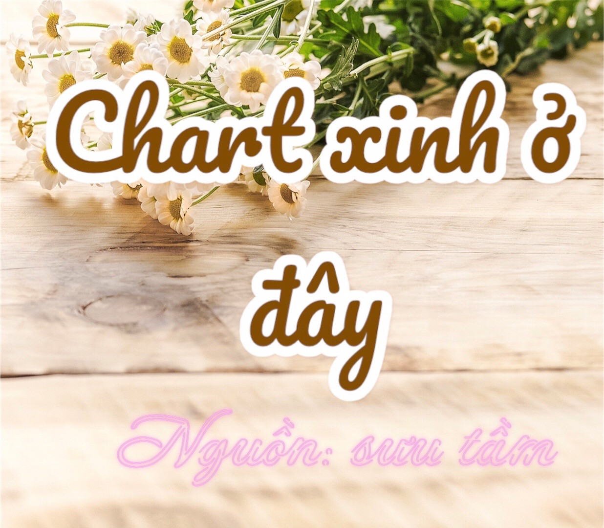 Chart Móc Len Mũ Lân và Mũ Xương Rồng Cho Thú Cưng