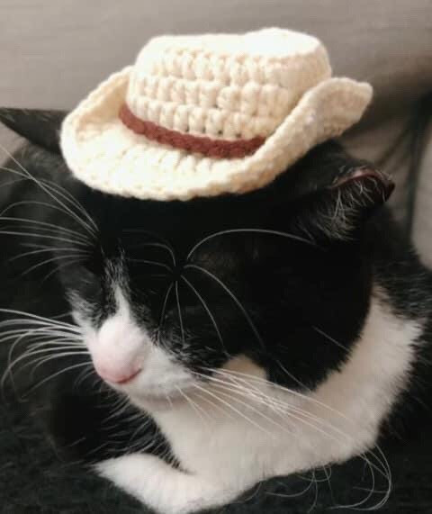 Chart Móc Len Mũ Lân và Mũ Xương Rồng Cho Thú Cưng