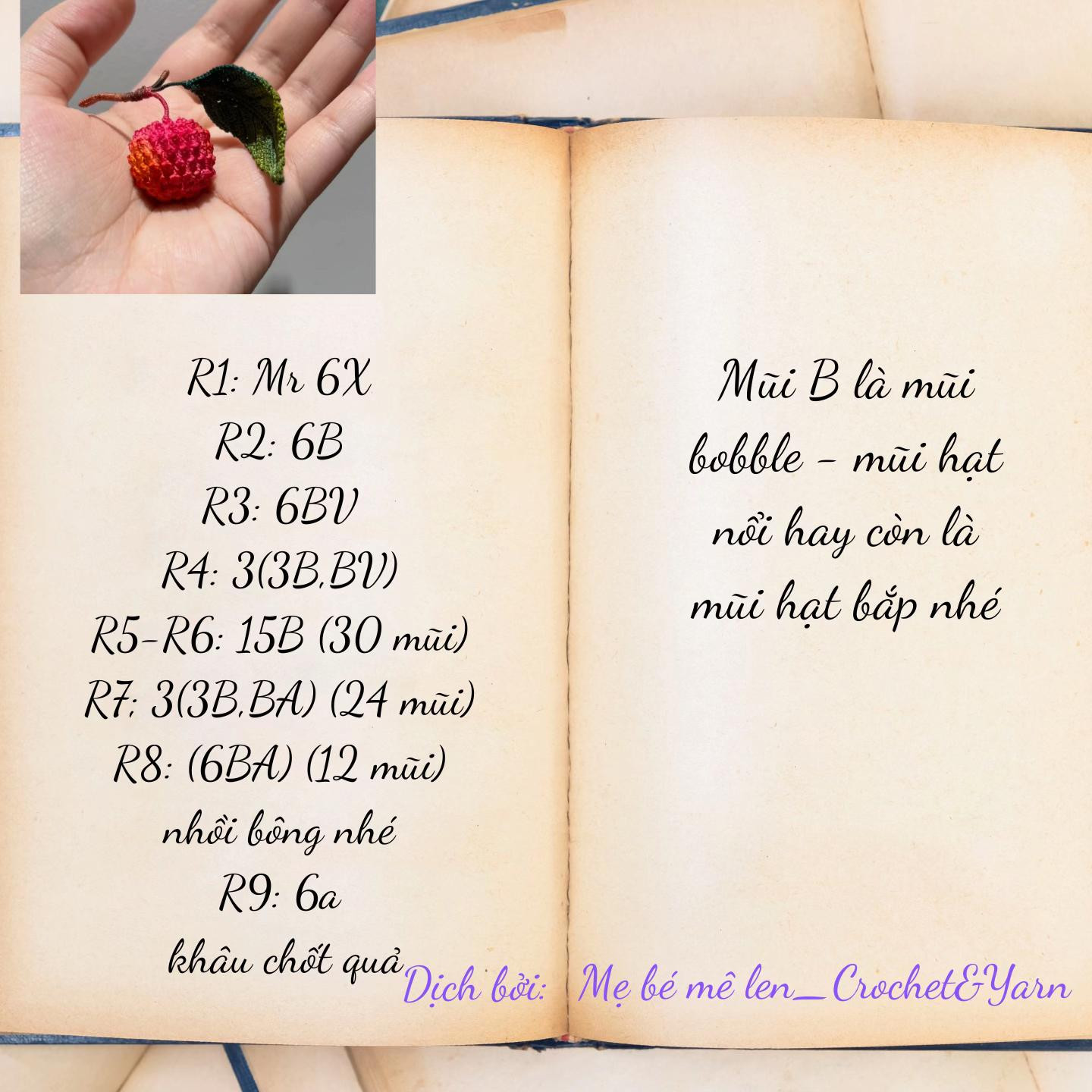 Chart móc len quả vải tươi với lá xanh