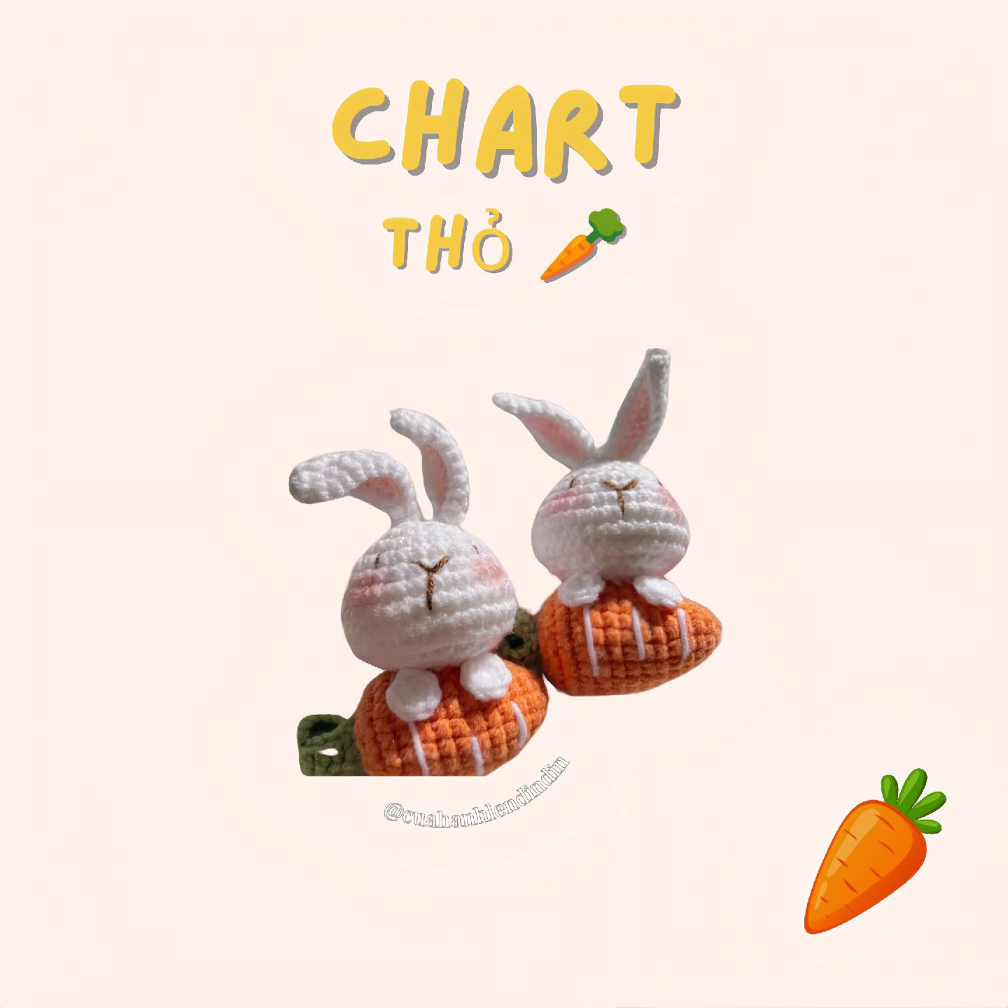 Chart móc len thỏ ngồi trên cà rốt dễ thương