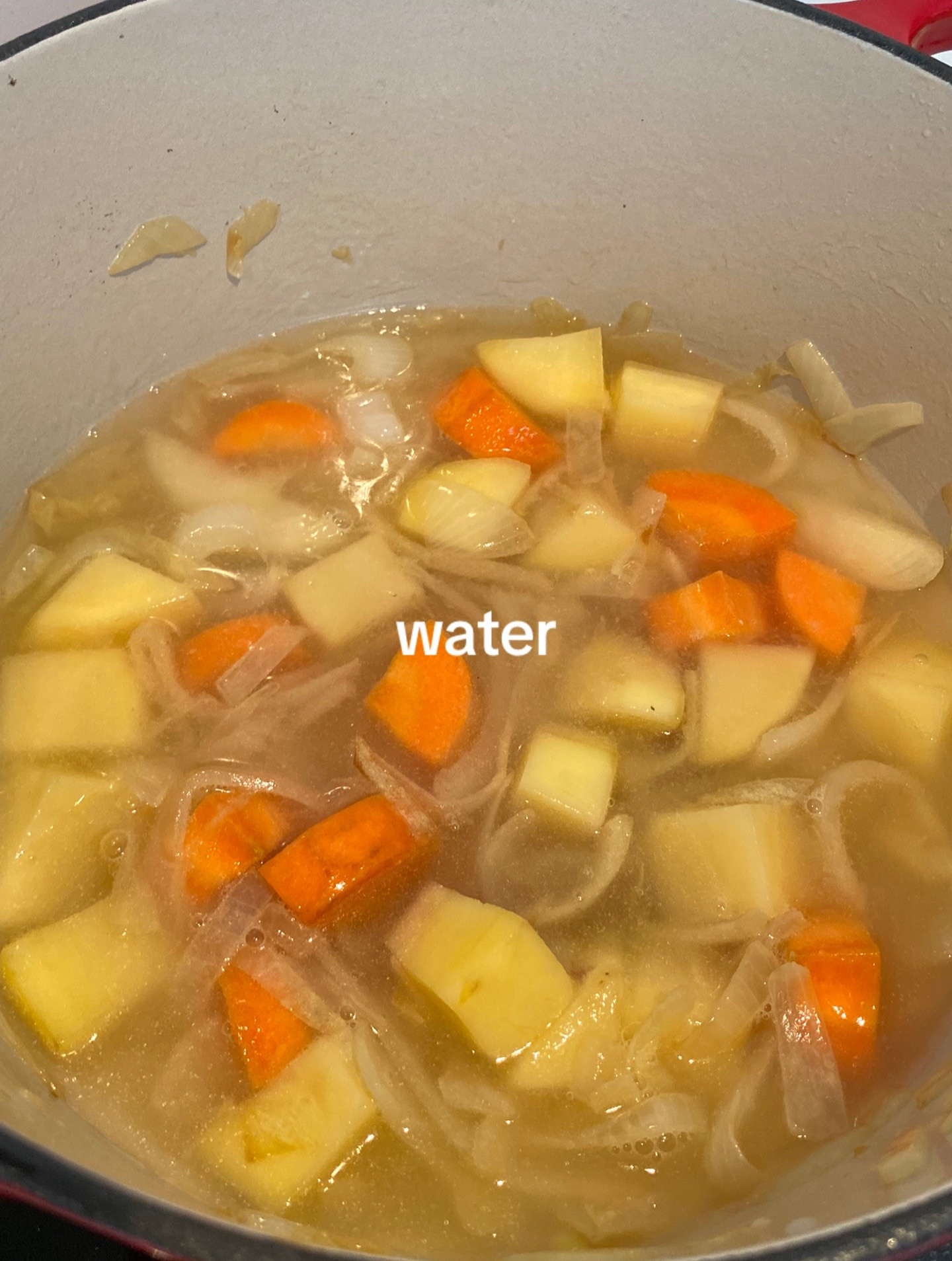 Chicken Katsu Curry with rice, crispy fried chicken breast served in savory curry sauce