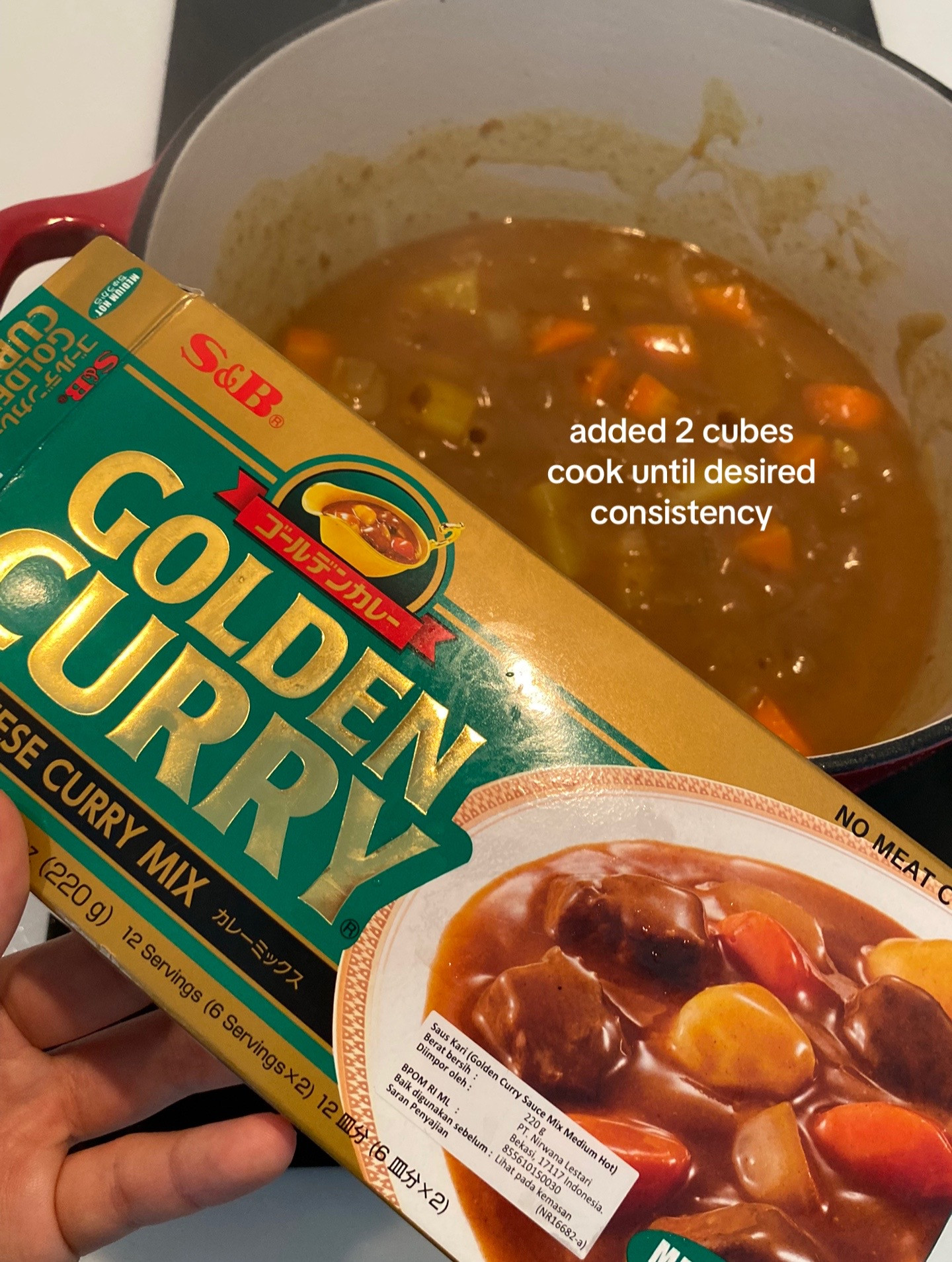 Chicken Katsu Curry with rice, crispy fried chicken breast served in savory curry sauce