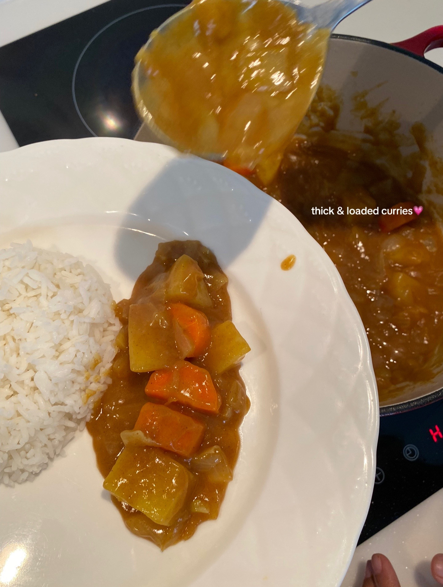 Chicken Katsu Curry with rice, crispy fried chicken breast served in savory curry sauce